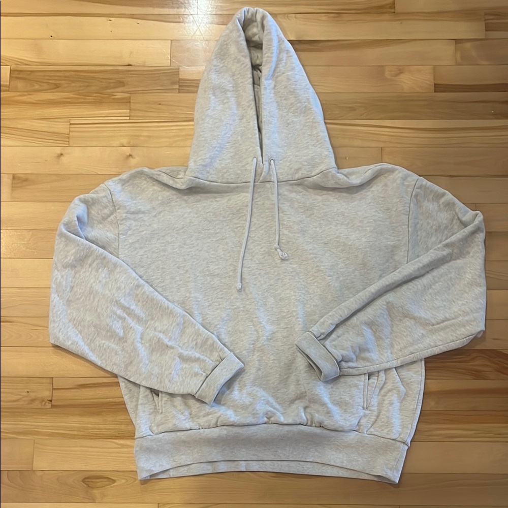 Aritzia Gray Sweater with Classic Hooded Design